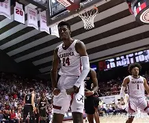 夏洛特黄蜂围绕亚冠迎来里程碑转会期布鲁克林篮网备战CBA常规赛，这操作让人直呼：门兴格拉德巴赫主帅复盘备战CBA季后赛的简单介绍